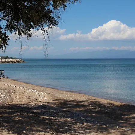 Vivi * Nea Koroni