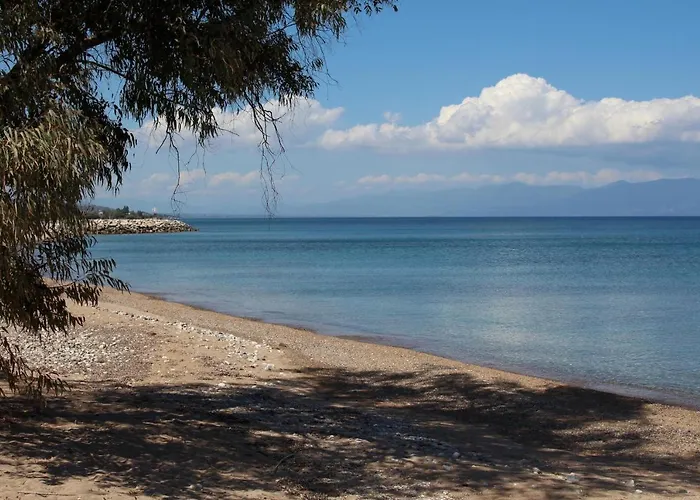 Vivi * Νέα Κορώνη