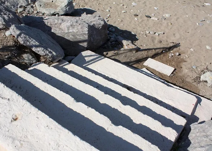 Vivi * Νέα Κορώνη