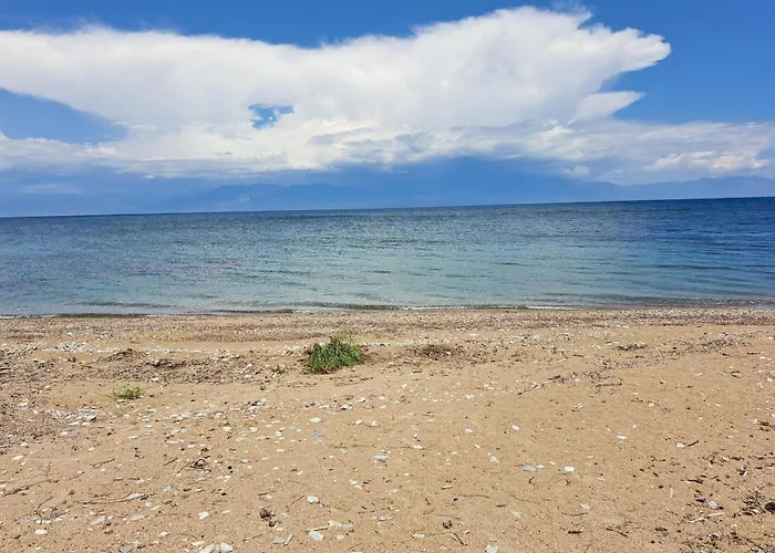 Vivi Νέα Κορώνη